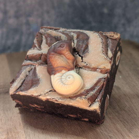 dark chocolate brownie with praline chocolate chunks and a hazelnut spread topping.